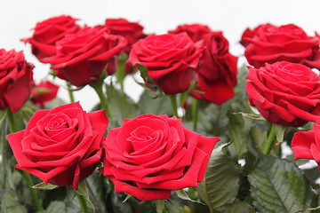 Image showing Bouquet of red roses