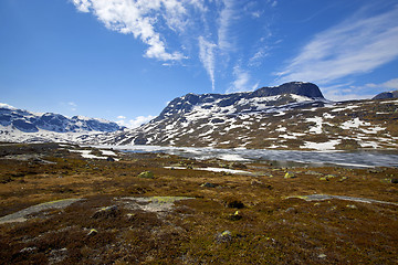 Image showing Haukeli in the summer