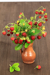 Image showing Wild strawberry