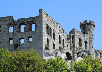 Image showing Castle in Poland