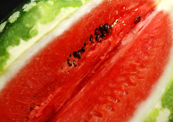 Image showing watermelon