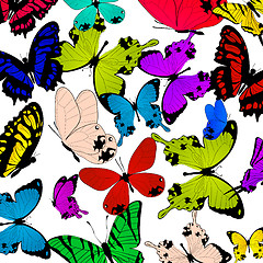 Image showing Butterflies