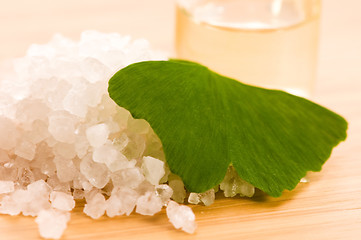 Image showing fresh leaves ginko biloba essential oil and sea salt - beauty tr