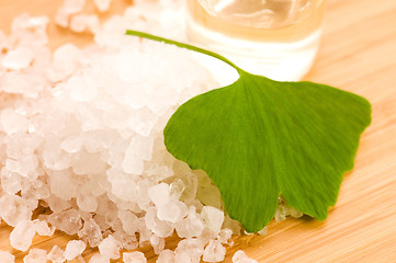 Image showing fresh leaves ginko biloba essential oil and sea salt - beauty tr