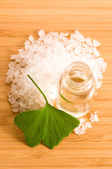 Image showing fresh leaves ginko biloba essential oil and sea salt - beauty tr