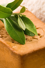 Image showing Natural Olive Soap With Fresh Branch