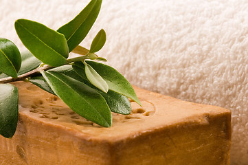 Image showing Natural Olive Soap With Fresh Branch