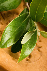 Image showing Natural Olive Soap With Fresh Branch