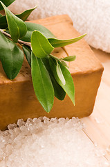 Image showing Natural Olive Soap With Fresh Branch