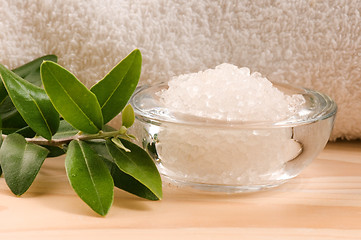 Image showing Sea Salt With Fresh Olive Branch. Spa And Wellness 