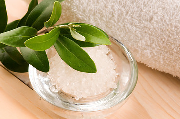 Image showing Sea Salt With Fresh Olive Branch. Spa And Wellness 