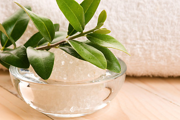 Image showing Sea Salt With Fresh Olive Branch. Spa And Wellness 