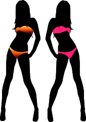 Image showing Bikini woman silhouette