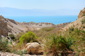Image showing Ein Gedi Nature Reserve