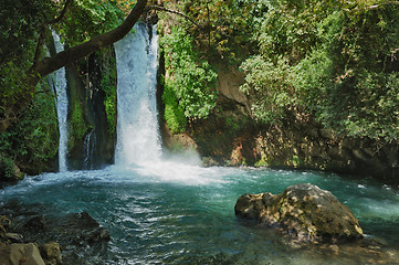 Image showing Waterfall in the Banias Nature Reserve