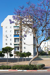 Image showing The city of Ashkelon in Israel