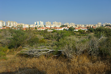 Image showing The city of Ashkelon in Israel