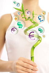 Image showing money tree       