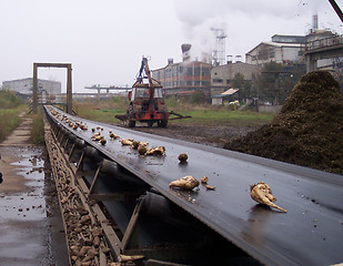 Image showing Sugar factory