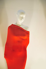 Image showing mannequin              