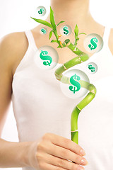 Image showing money tree    
