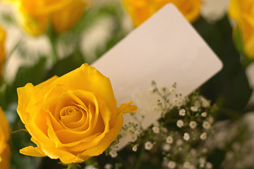 Image showing Yellow Roses 6