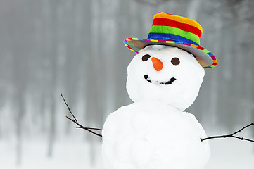 Image showing winter funny snowman