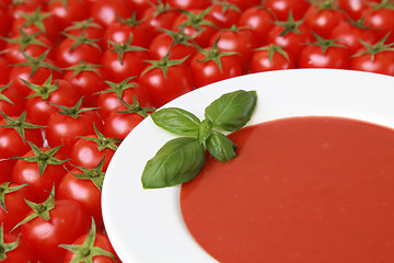 Image showing Fresh tomato soup