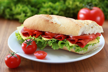 Image showing Fresh sub with salami and cheese