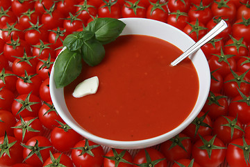 Image showing Fresh tomato soup