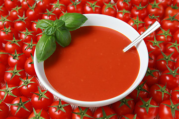 Image showing Fresh tomato soup