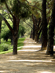 Image showing park in madrid