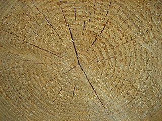 Image showing Timber