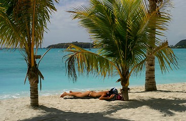 Image showing sunbathing