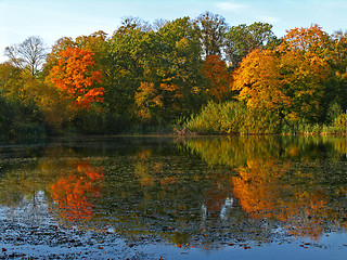 Image showing Autumn reflection