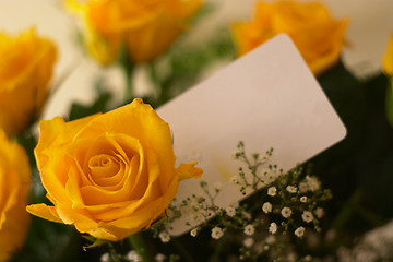 Image showing Yellow roses and card 3