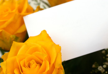 Image showing Yellow roses and card