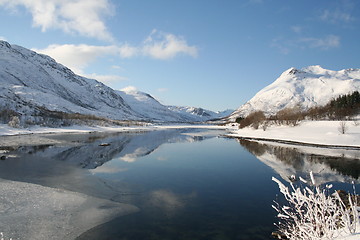 Image showing Winter 1