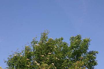 Image showing Blue Sky