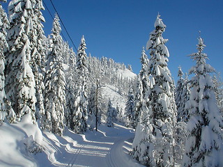 Image showing cross-country skiing view