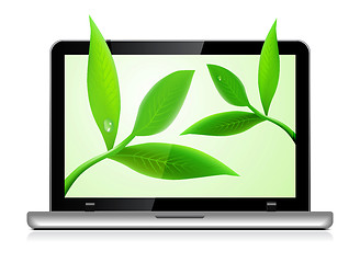 Image showing Laptop with leaves on white background