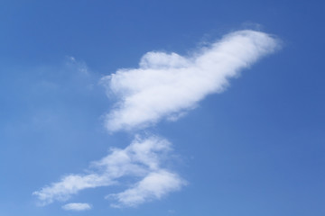 Image showing Fluffy clouds