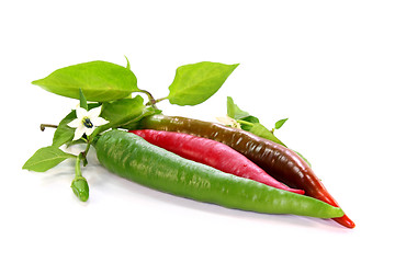 Image showing chili peppers