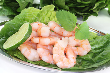 Image showing Prawns