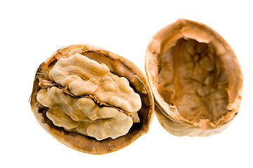 Image showing Walnut