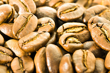 Image showing Coffee grains