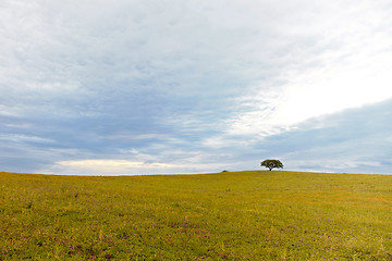 Image showing Greenfield at the beginning of spring.