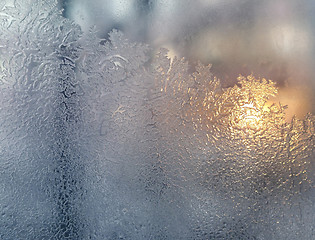 Image showing frost and sun