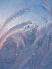 Image showing frost and sunlight on glass