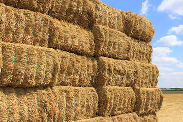 Image showing haystack